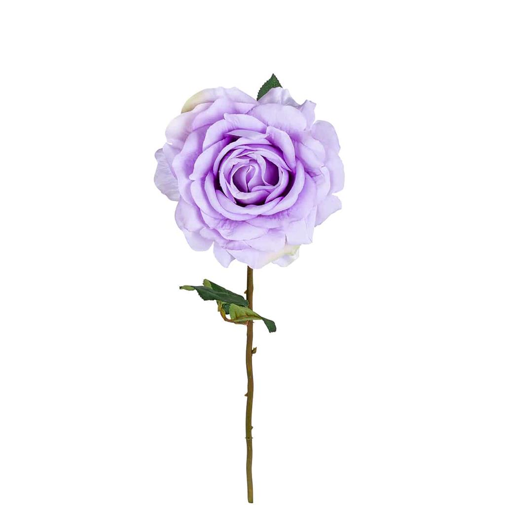 0506111-bloem_rose_lilac_24_stuks