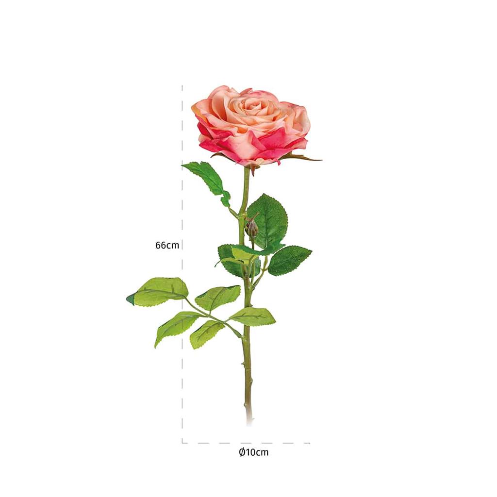 0508862-bloem_rose_rosee-white_18_stuks