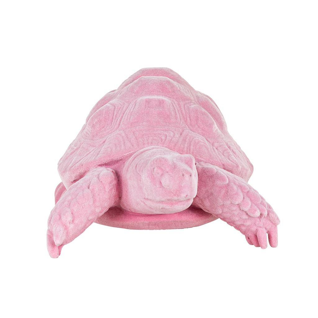 0244469-turtle_pokey_roze_pink