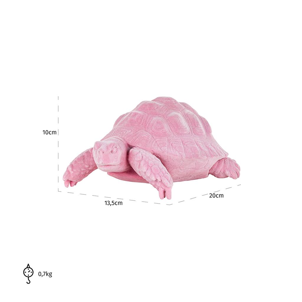 0245379-turtle_pokey_roze_pink
